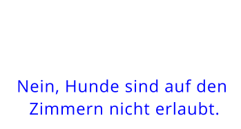 Nein, Hunde sind auf den Zimmern nicht erlaubt.